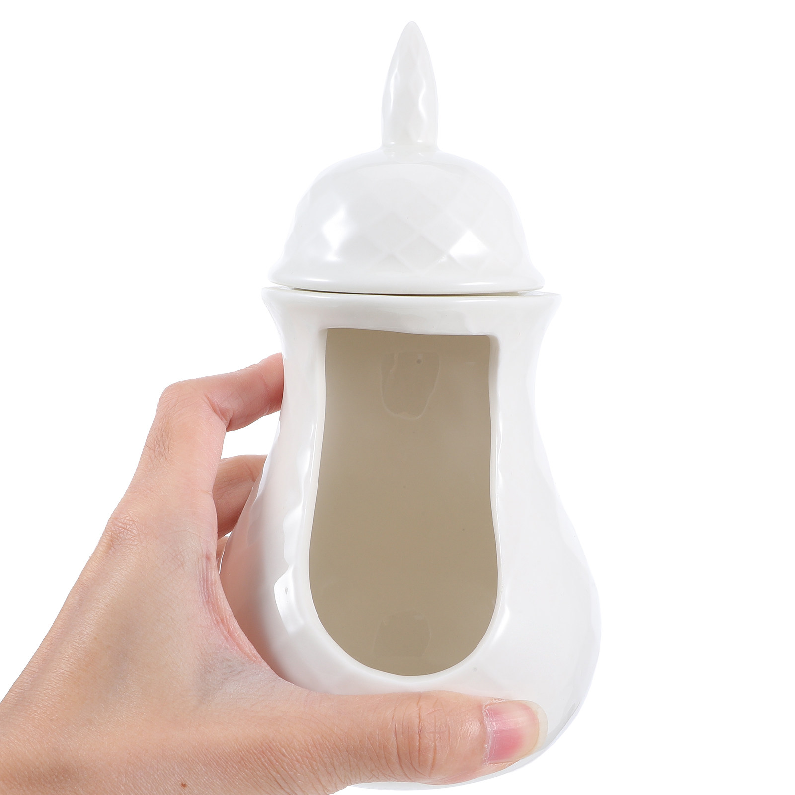 Ceramic Wax Melt Warmer for Es - Home Fragrance Oils For Oil Burners avis et prix