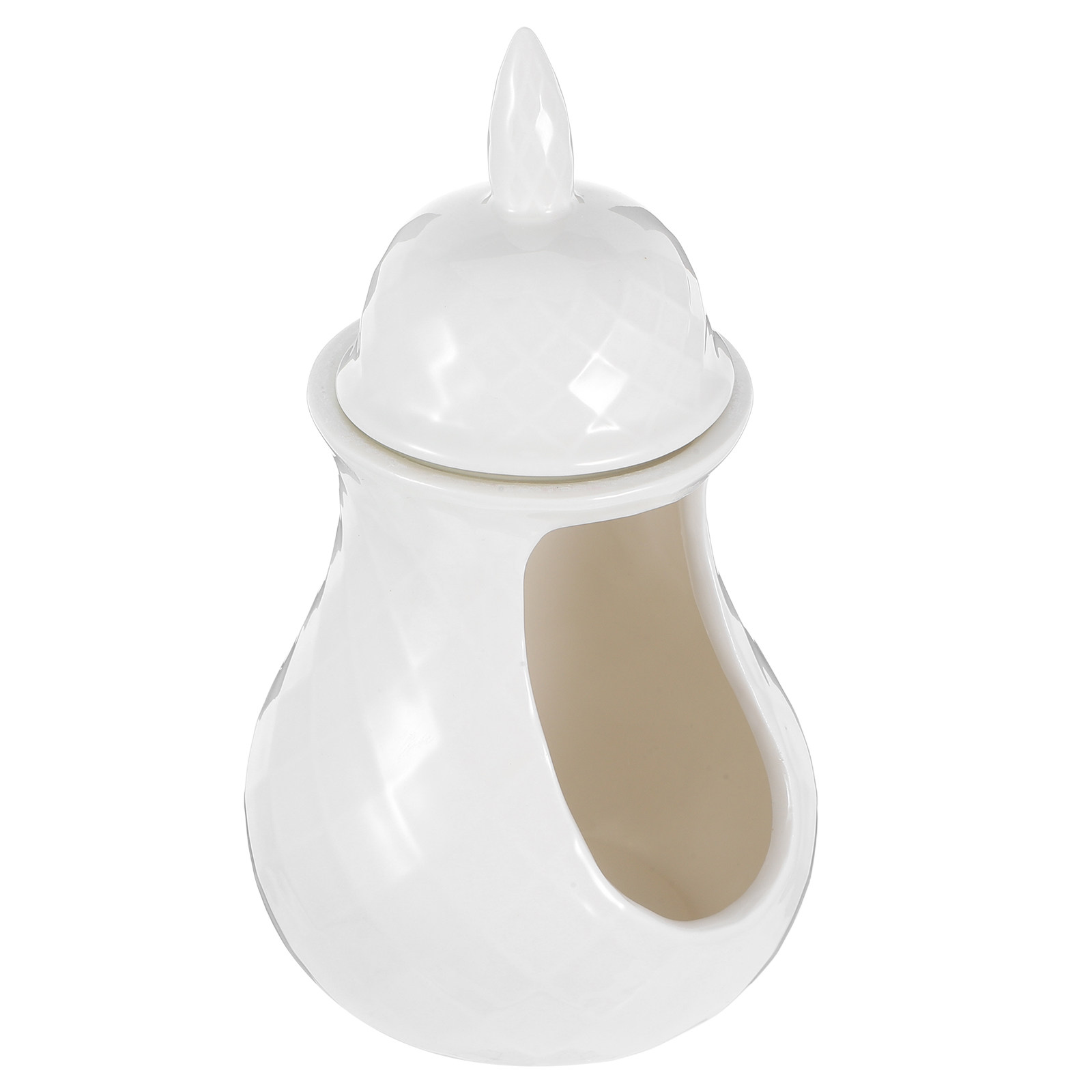 Ceramic Wax Melt Warmer for Es - Home Fragrance Oils For Oil Burners avis et prix